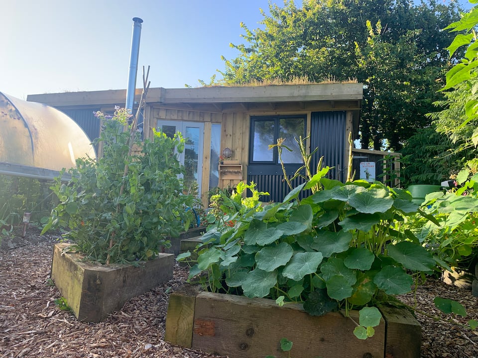 Herbs and vegetables in the allotment at The Snug